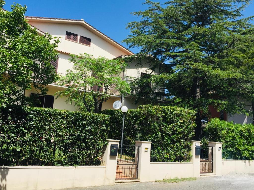 Cedro Del Libano Daire Castiglioncello Dış mekan fotoğraf