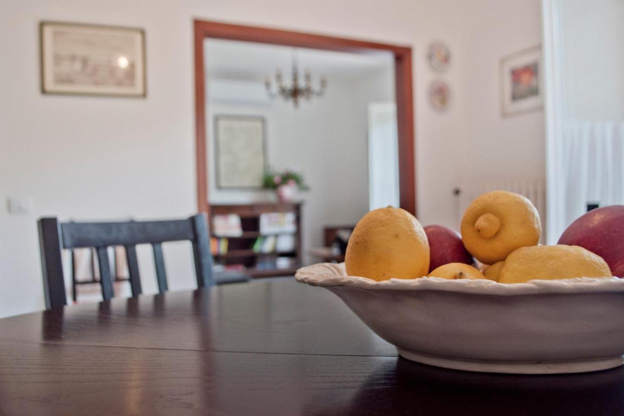 Cedro Del Libano Daire Castiglioncello Dış mekan fotoğraf