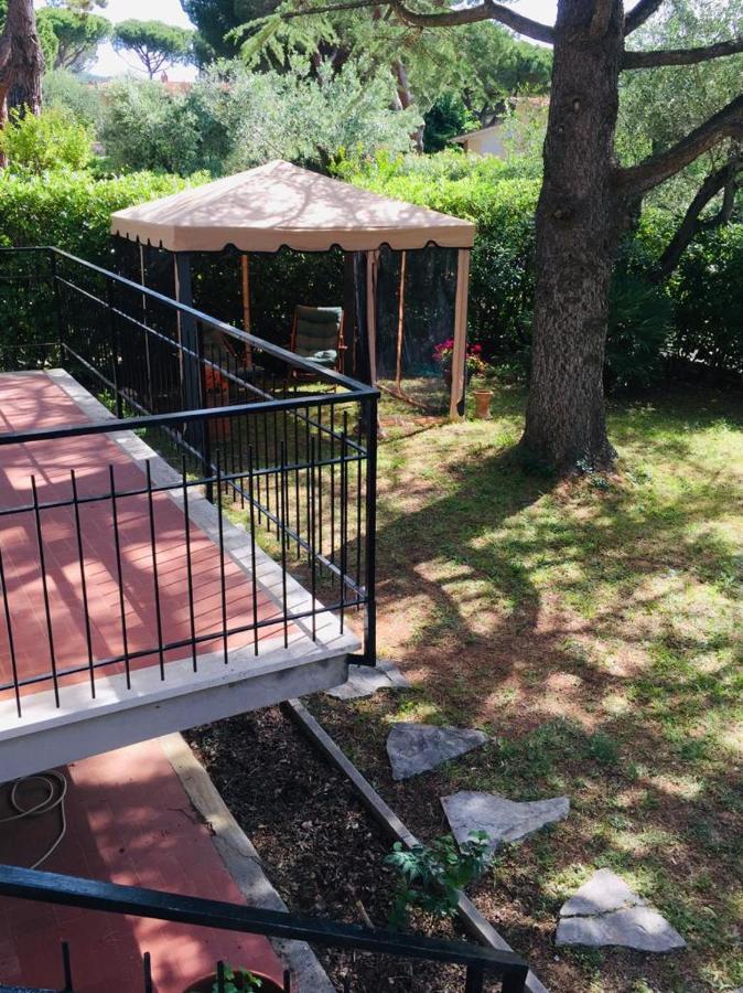 Cedro Del Libano Daire Castiglioncello Dış mekan fotoğraf